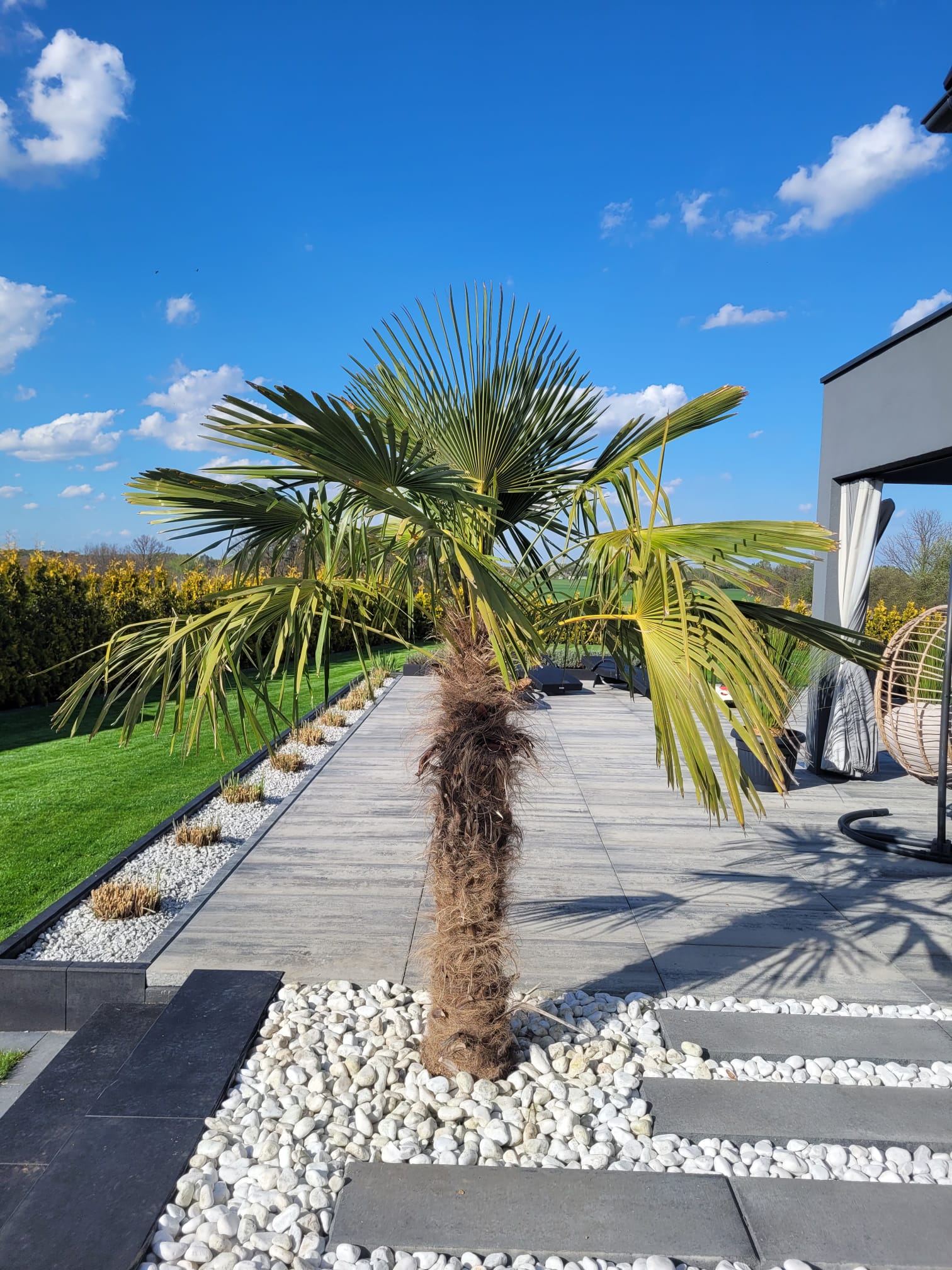 0e960040 56cf 4d9e 8d36 1bd83b48b6f5