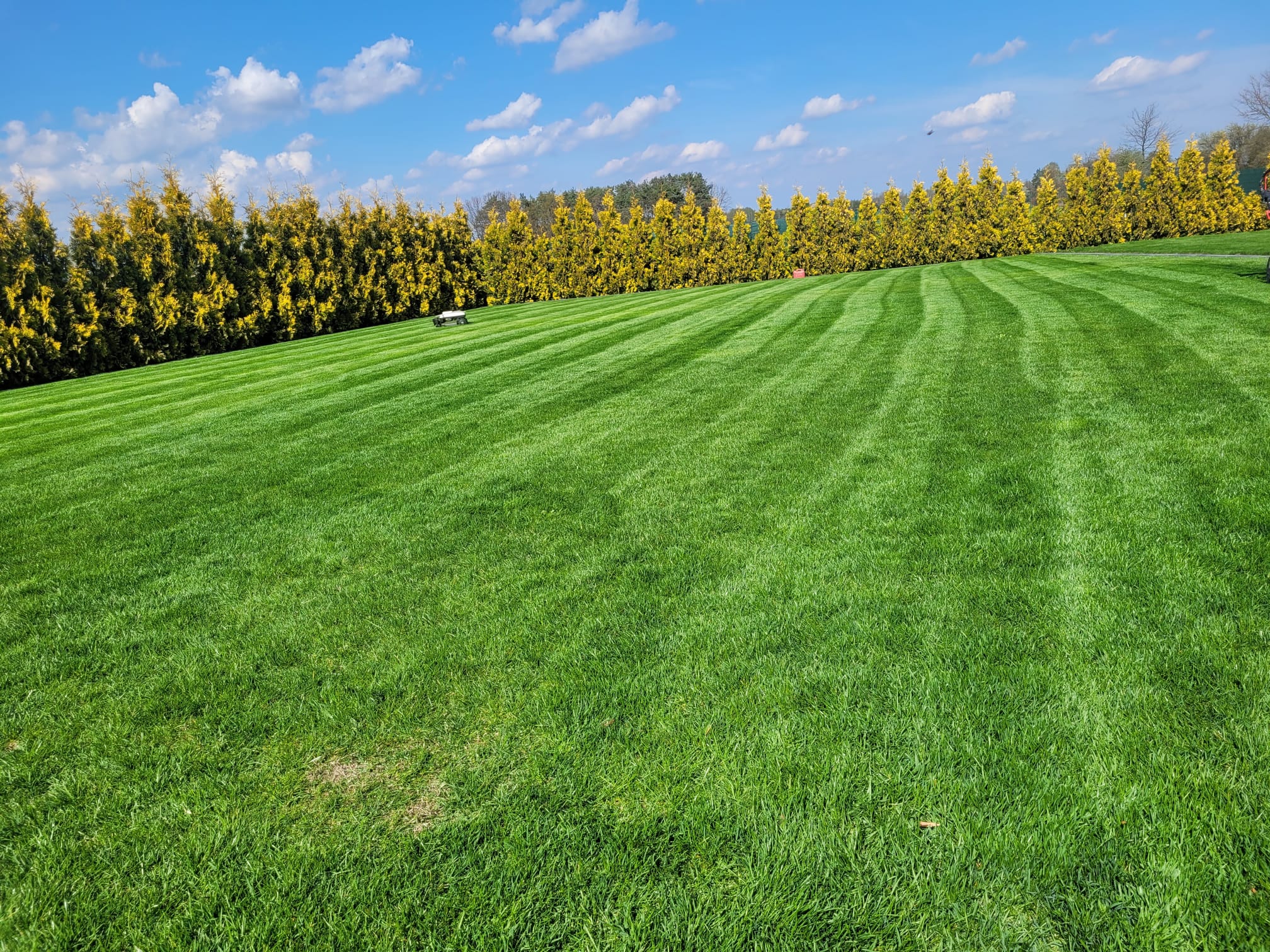 14a62a55 7ce0 4128 9e13 4c2ca979b323