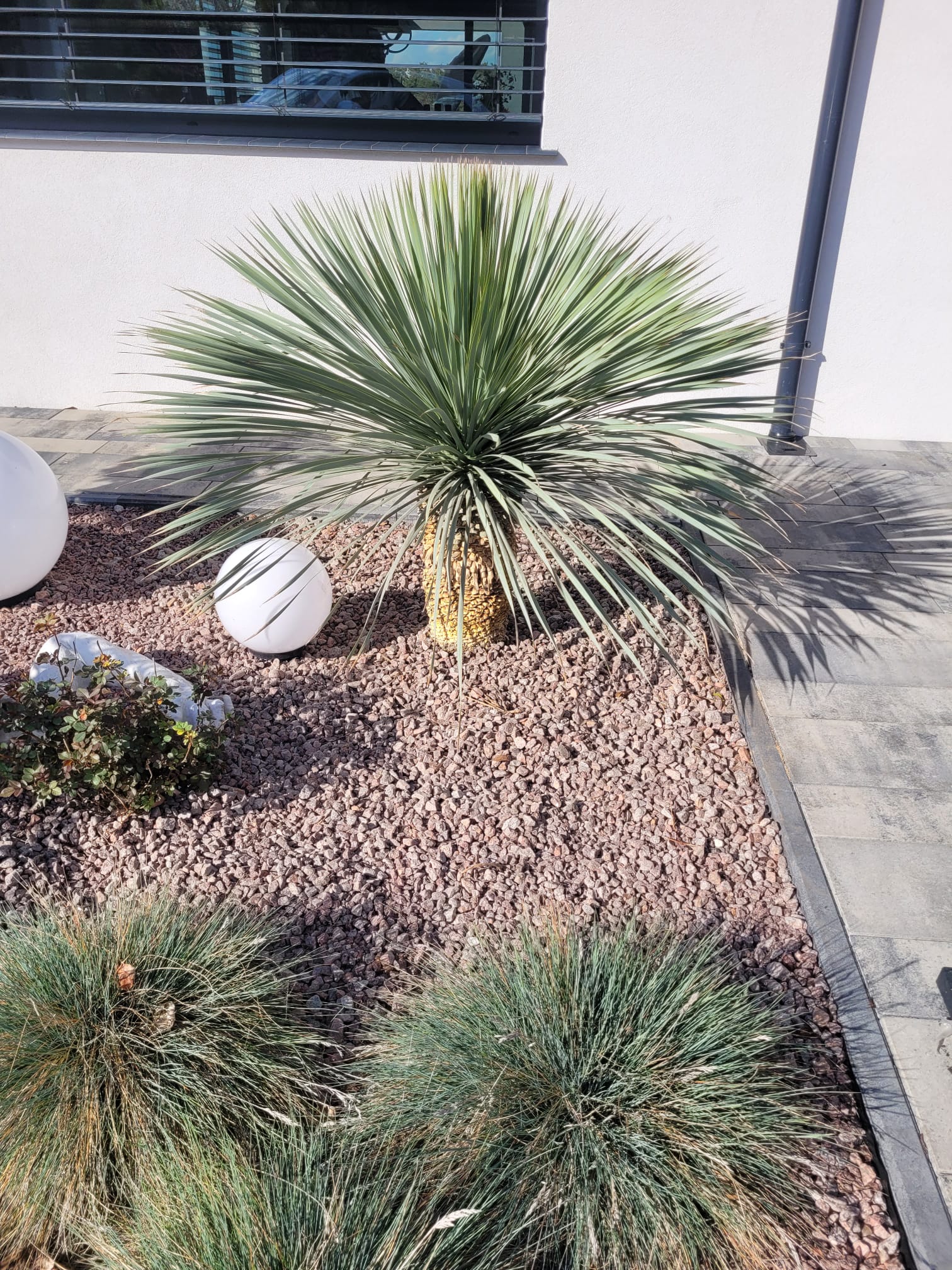 affad7b3 3aea 4b42 b679 940cbd0af60b