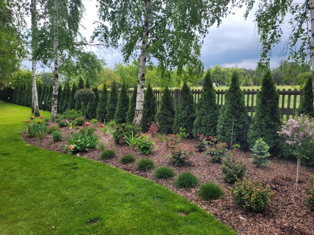 bc51dab2 b5f8 4b91 8cf0 0a1229384e7e