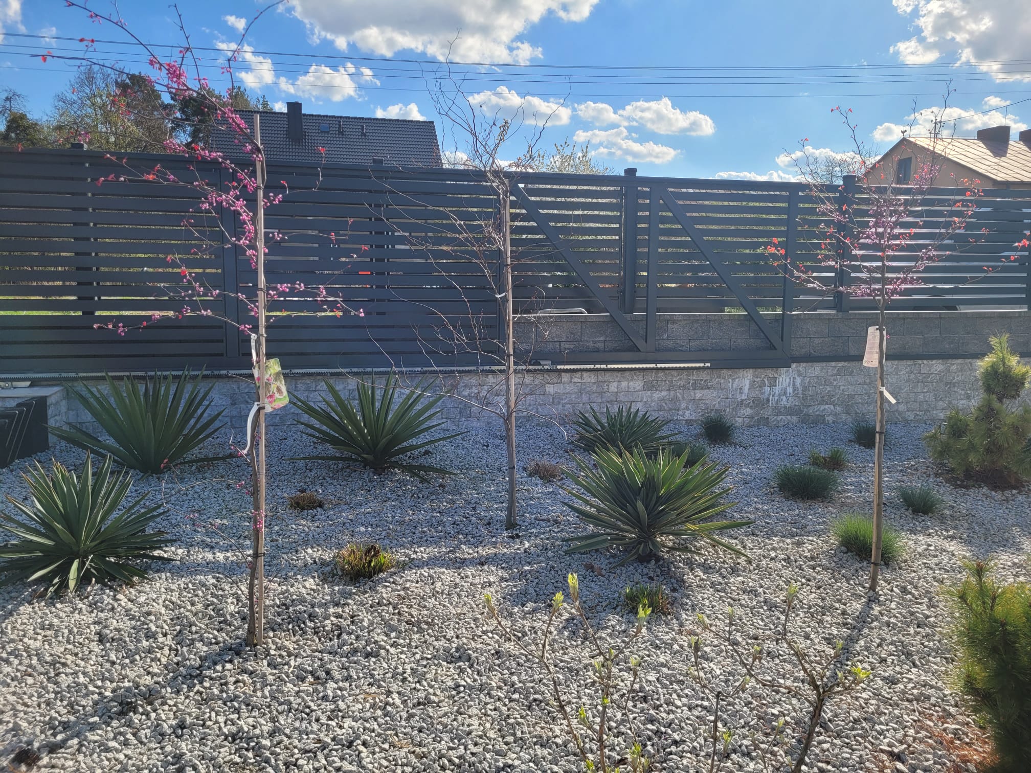 be946b7c fd89 4888 8eb6 08527031810a