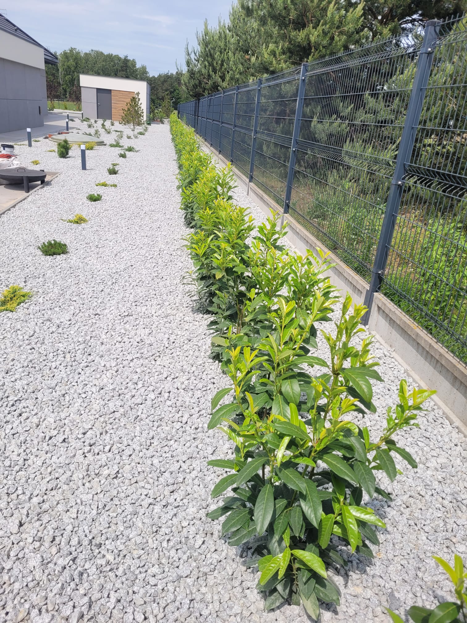 c7a56aa6 3ec2 45e3 b01b a7aeabab4bce