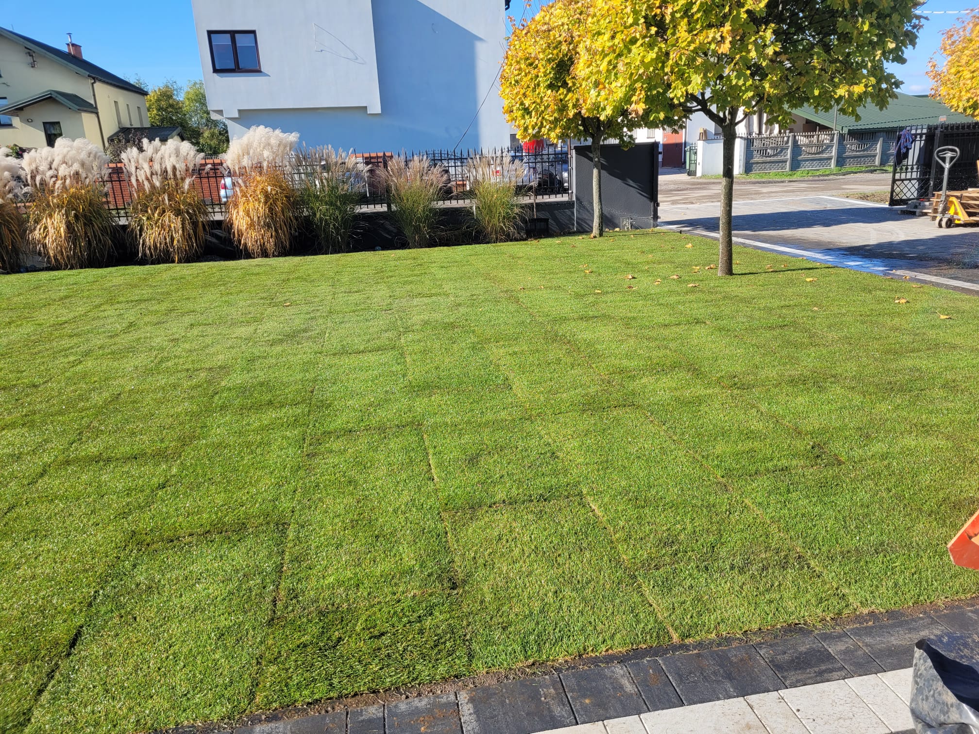 e5bf1666 2c91 499a 9421 e95634e00d33