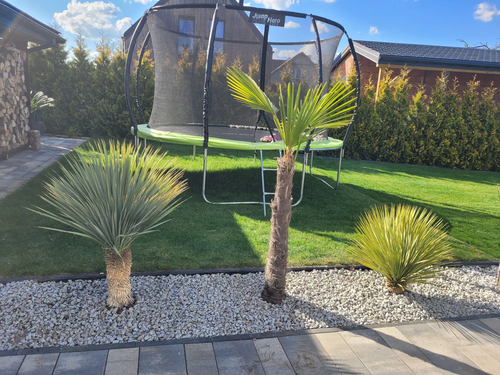 f497ae1c 98c2 41b1 bece eff6e86428b6