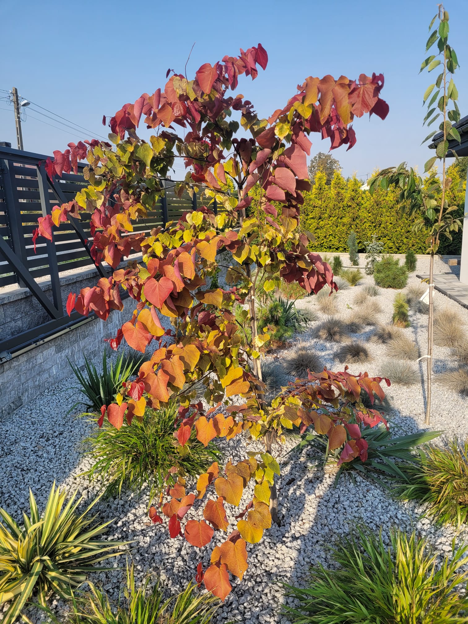 fbc5e47f e8f2 4453 8451 53a688f2a34d