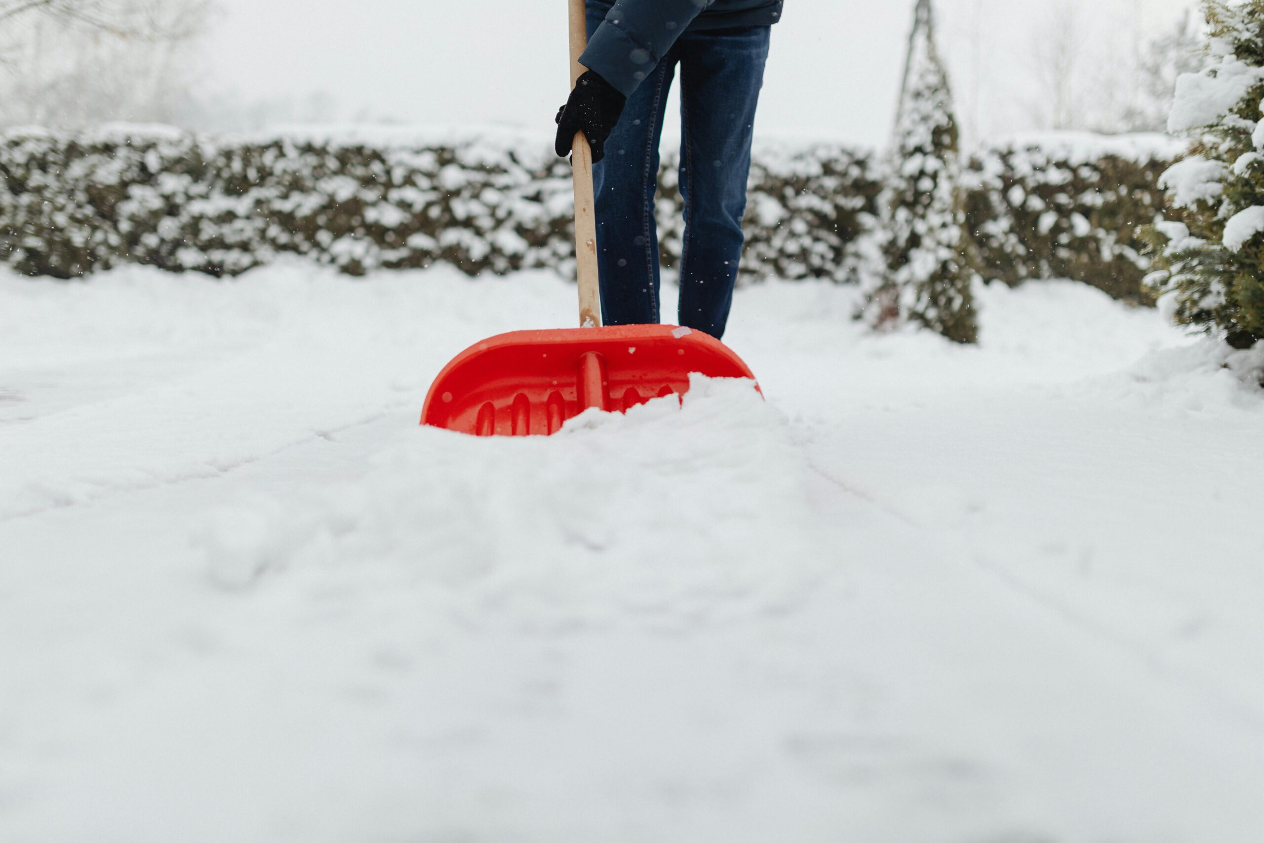 Adult shoveling fresh snow with a red shovel during winter outdoors.